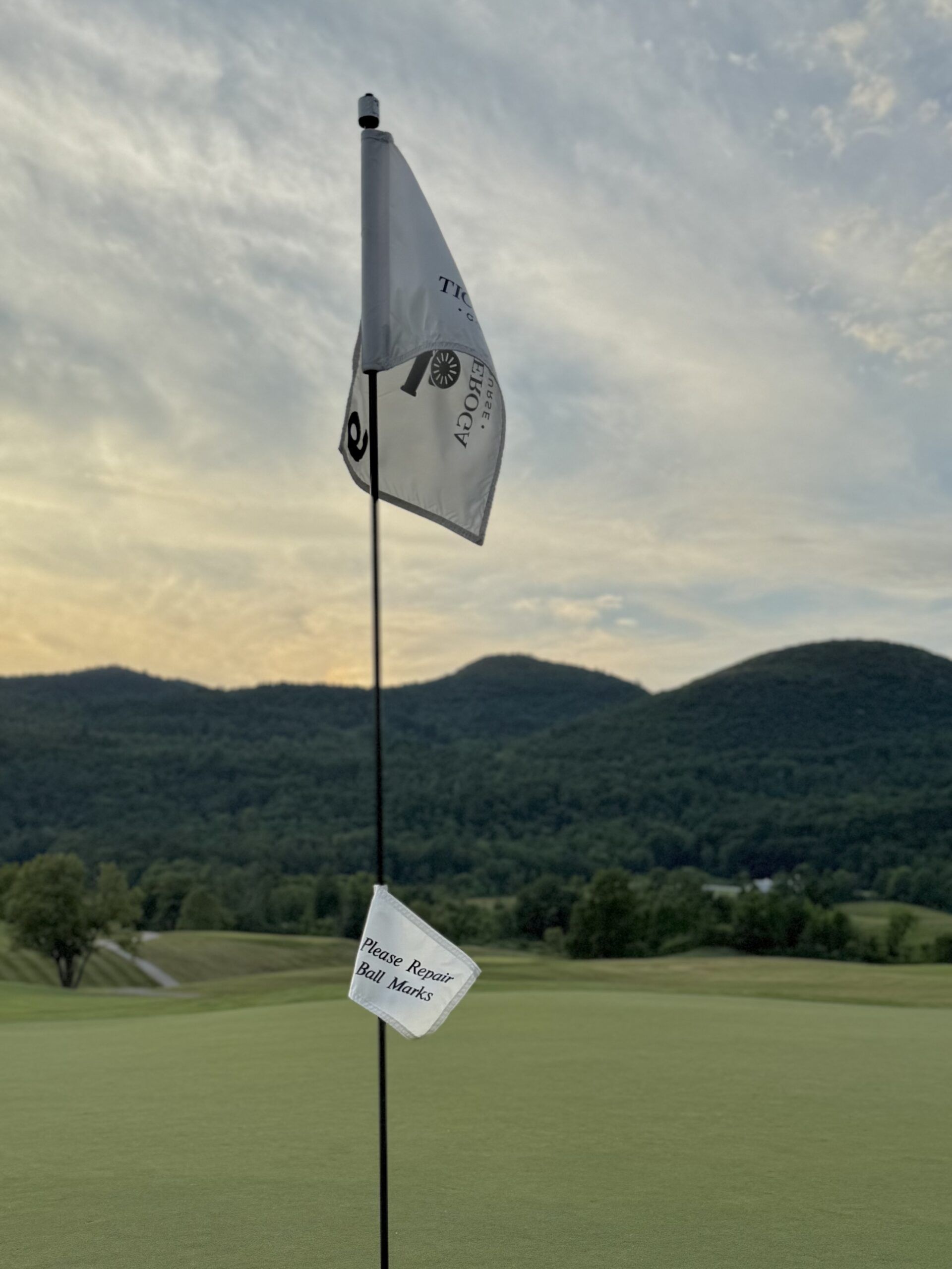 please repair ball marks sign and flag