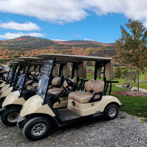 10 pack - Cart (18 holes) - Cash